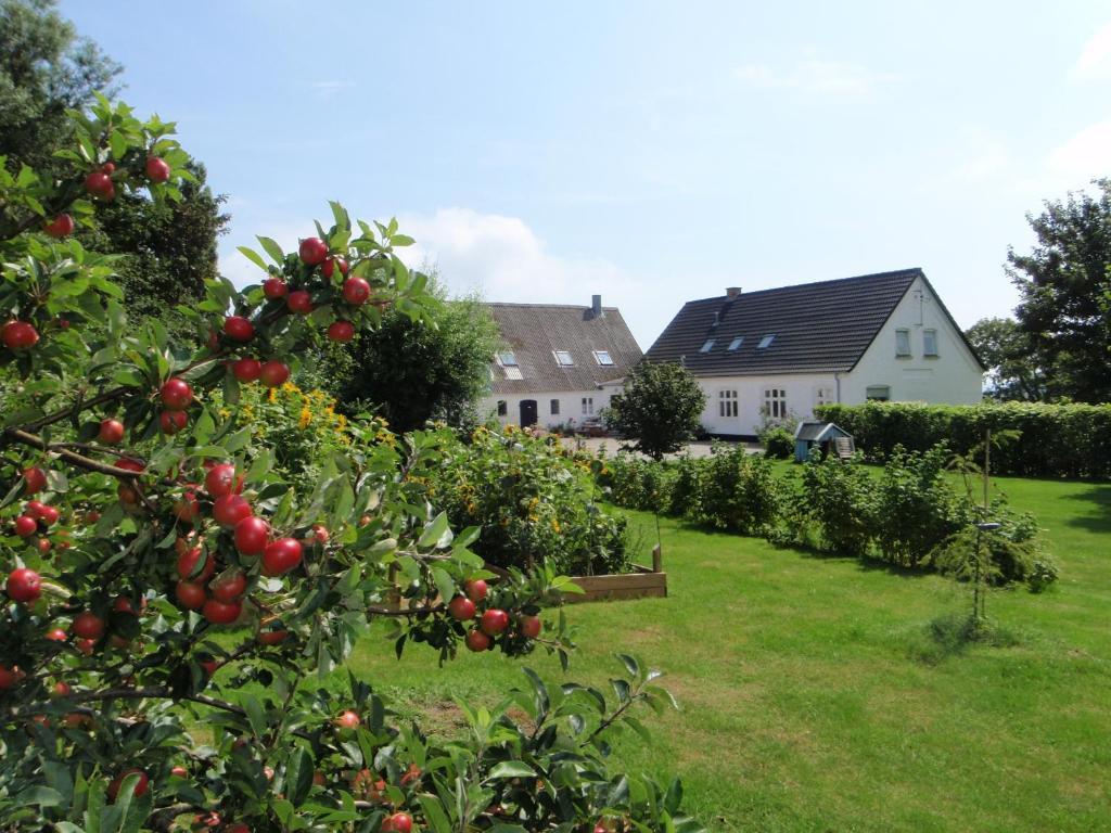 Ruhetgaard Holiday Apartment Ærøskøbing Pokoj fotografie